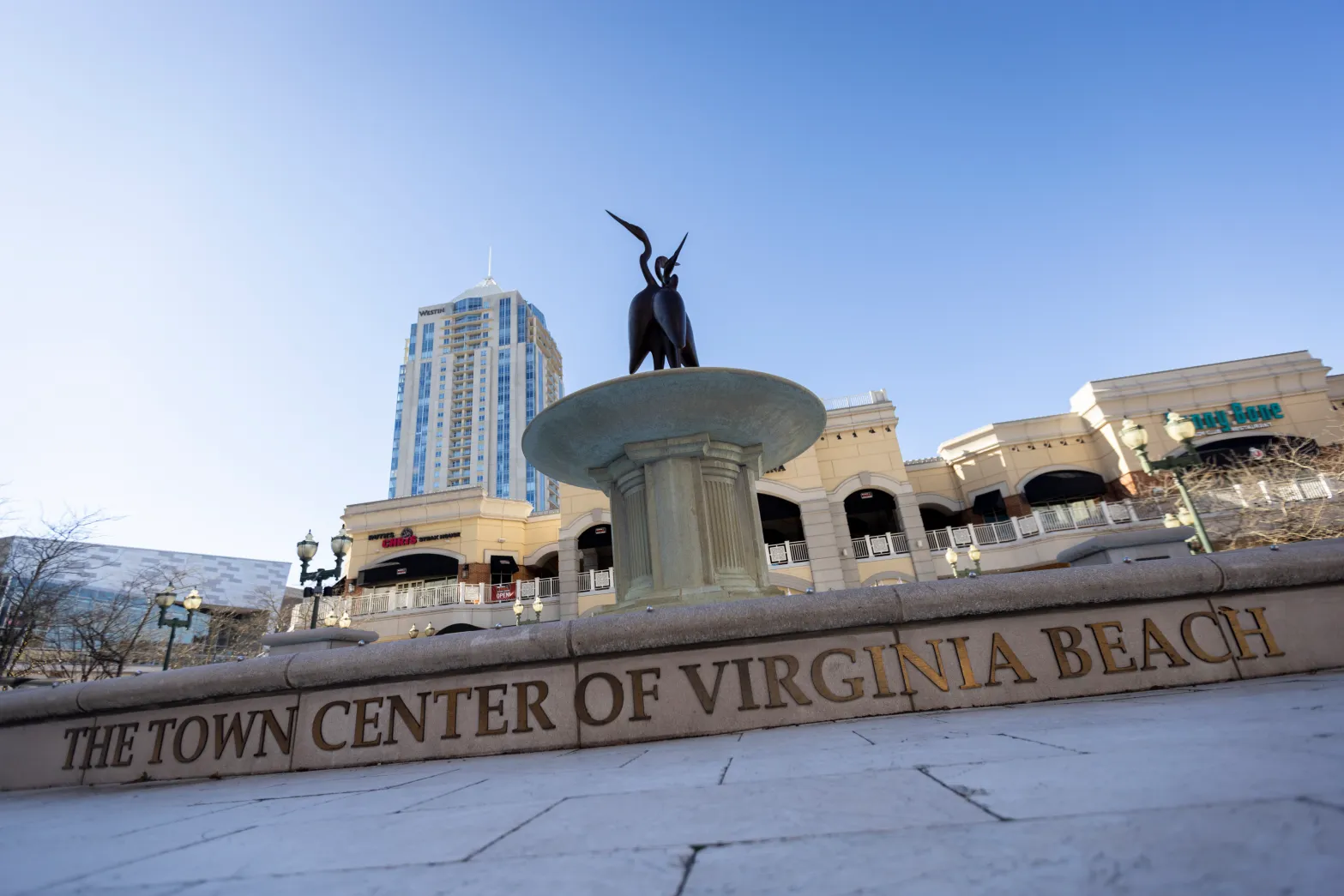 Town Center Statue
